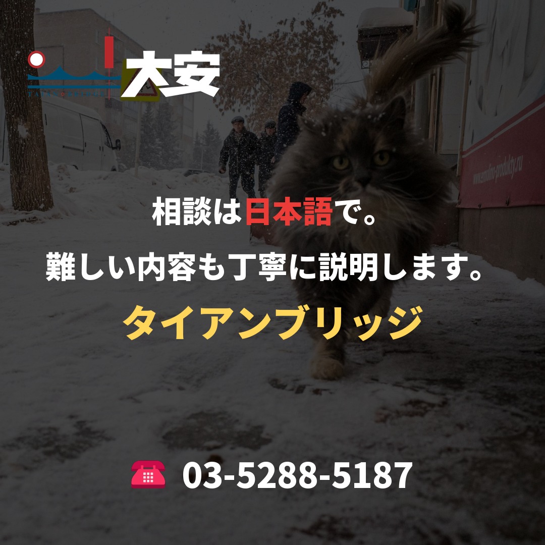 相談は日本語で。難しい内容も丁寧に説明します。|タイアンブリッジ